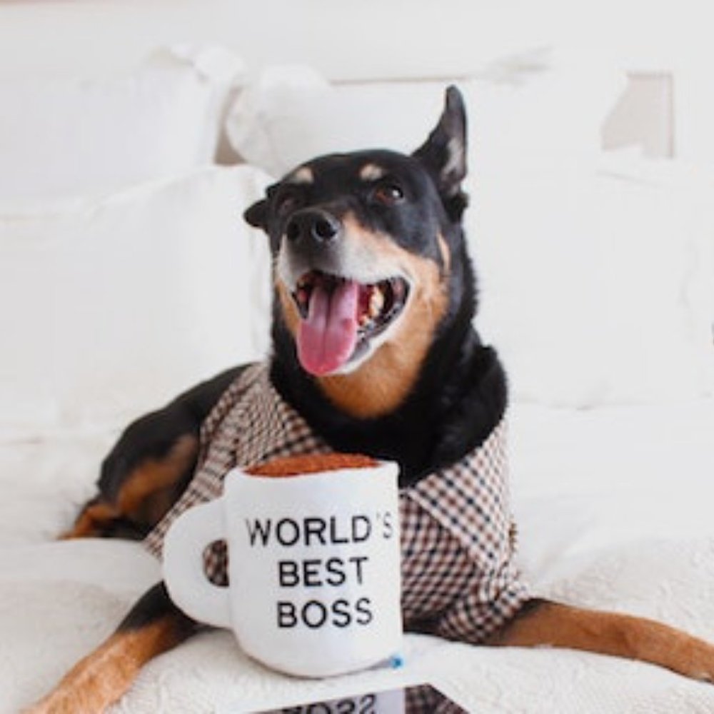Bark Box The Office "Worlds Best Boss"  Mug + Candle Plush